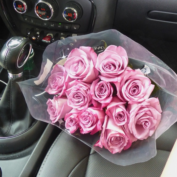 Meet your Posher, Nikita - Picture 1 of 1